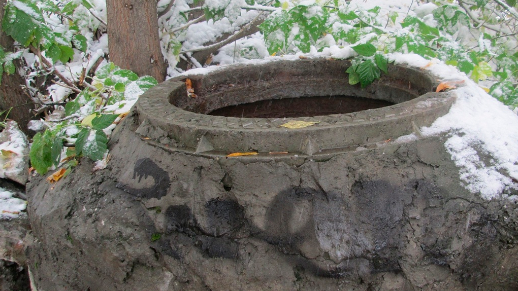 Жалобно лаяла: собака провалилась в глубокий колодец в Новосибирске