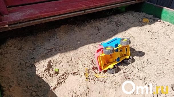 В министерстве образования Омска отреагировали на ситуацию в детском лагере «Орлёнок»