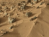 Жизнь на Землю занесли метеориты с Марса