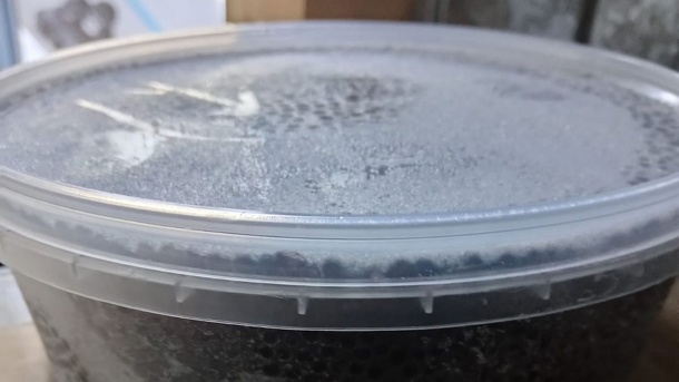 Омские контрабандисты спрятали икру на 16 миллионов в рыбе