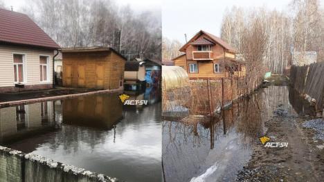 Дачники ловят рыбу с крыльца: аномальное тепло превратило огороды в озёра в Новосибирске