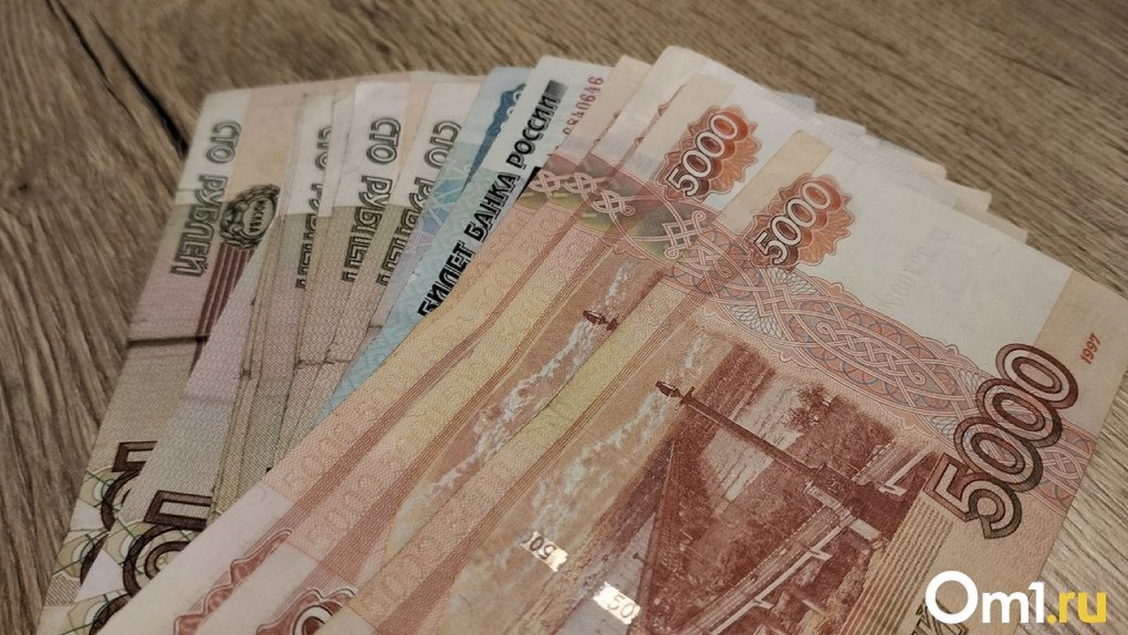 Омичка предстанет перед судом за хищение 14 миллионов рублей из материнского капитала