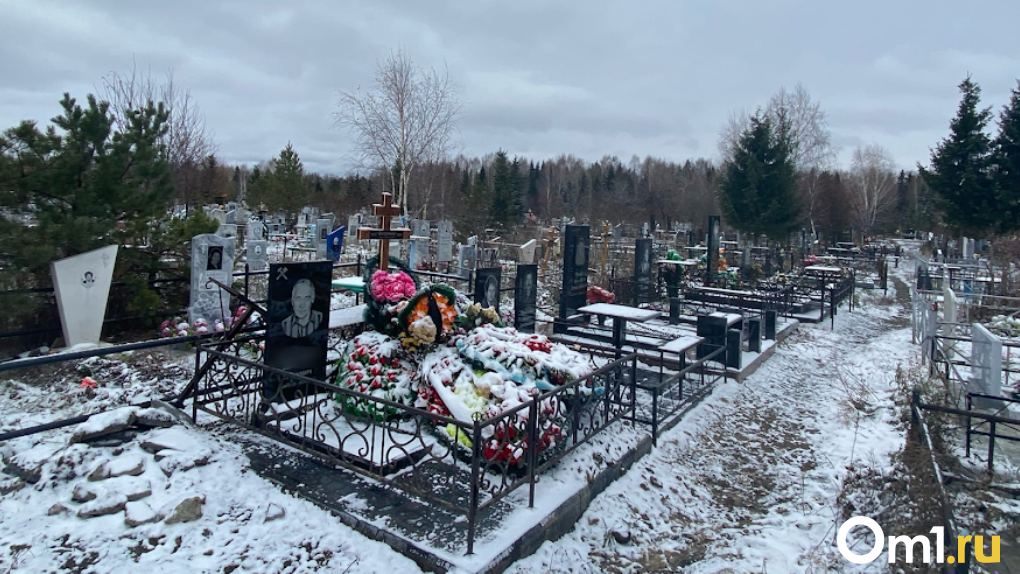 Поросль вырубят, сирень и клёны посадят: для строительства нового кладбища в Омске готовят участок