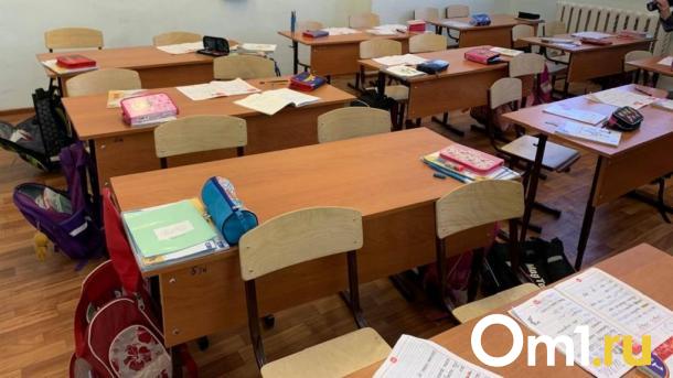 Как изменится учёба мигрантов в Новосибирске? Новый языковой фильтр в трёх школах