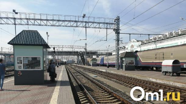 Омские следователи задержали школьников за попытку теракта на железной дороге