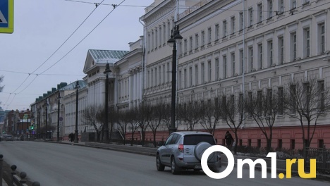 Город в зоне СФО: вспоминаем, как Омск пережил минувший год