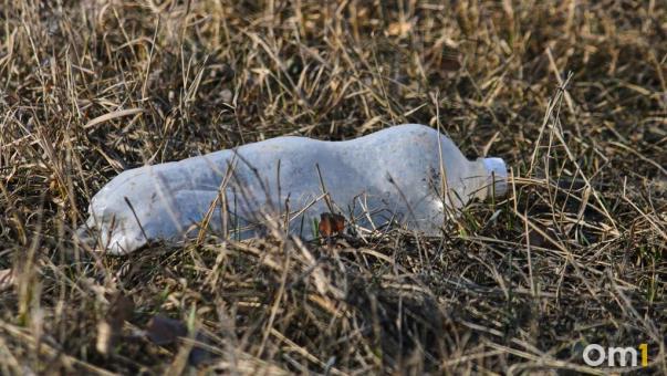 Завтра в Омске состоится общегородской субботник