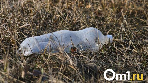 Завтра в Омске состоится общегородской субботник