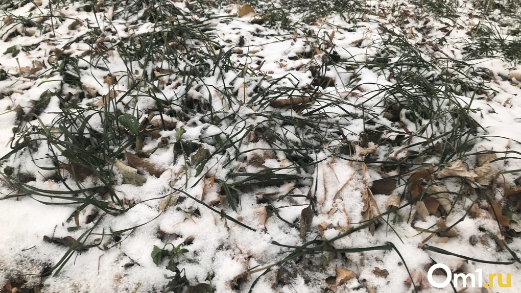 Снег и стабильный минус: опубликован прогноз погоды на ноябрь в Новосибирске
