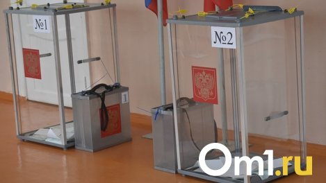 Эксперт дал оценку избирательной кампании и прогноз на результат выборов