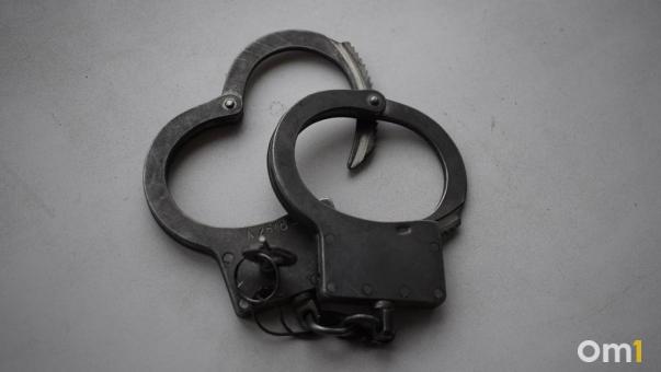 Семь иностранцев пытались незаконно перейти пешком границу из Казахстана в Омск