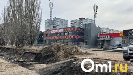 «Тропа препятствий»: в Омске больше года нет нормального перехода у ТЦ «Тополиный»