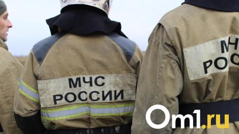 Во время пожара в доме Мацелевича было 11 человек
