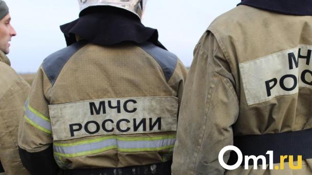 Во время пожара в доме Мацелевича было 11 человек