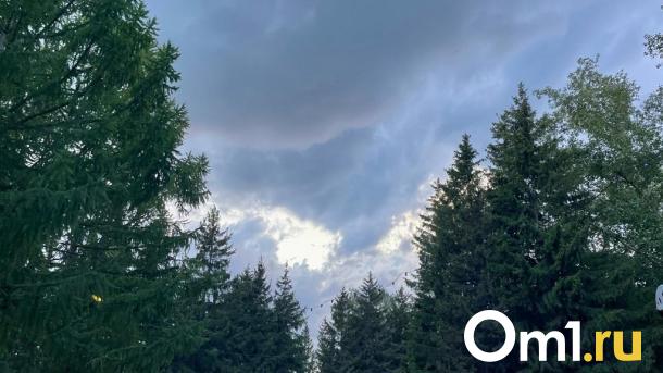 В Омске планируют установить памятник бывшему гендиректору ПО «Полёт»