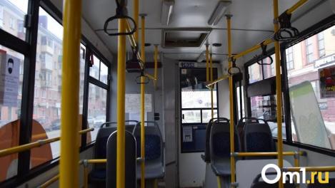 В Омске временно недоступны дистанционные способы пополнения карт «Омка»