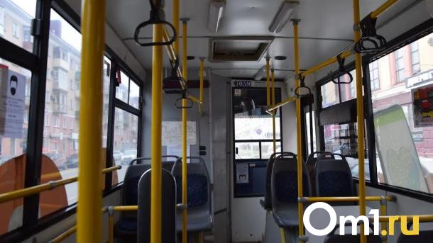 В Омске временно недоступны дистанционные способы пополнения карт «Омка»