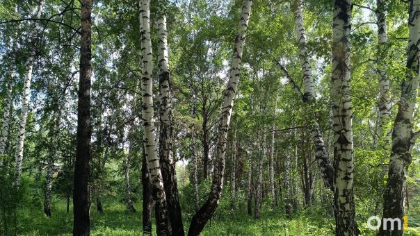 Погода не помеха: как метеозависимым в осеннюю пору улучшить самочувствие
