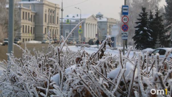 Омск стал одним из самых «холодных» городов России в феврале