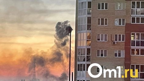 Пыль и сероводород: в двух городских округах омичи дышали загрязнённым воздухом