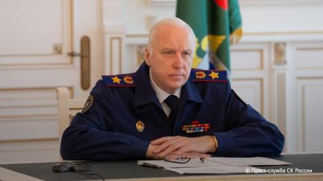 Стая собак под Новосибирском: ЧП с ребёнком заинтересовало Бастрыкина