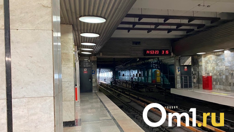 Дзержинскую линию метрополитена в Новосибирске планируют достроить за 26,7 млрд рублей