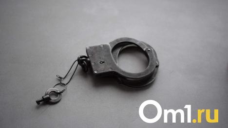 Омича посадят на 11 лет за смерть молодой супружеской пары