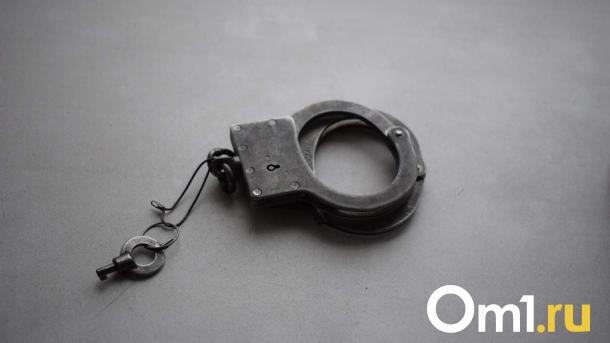 Омича посадят на 11 лет за смерть молодой супружеской пары