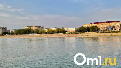 В воде на омских пляжах нашли кишечную палочку, а в песке — возбудителей токсокароза
