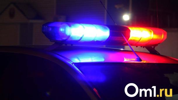 В Омской области на водителя школьного автобуса завели дело за опасные манёвры