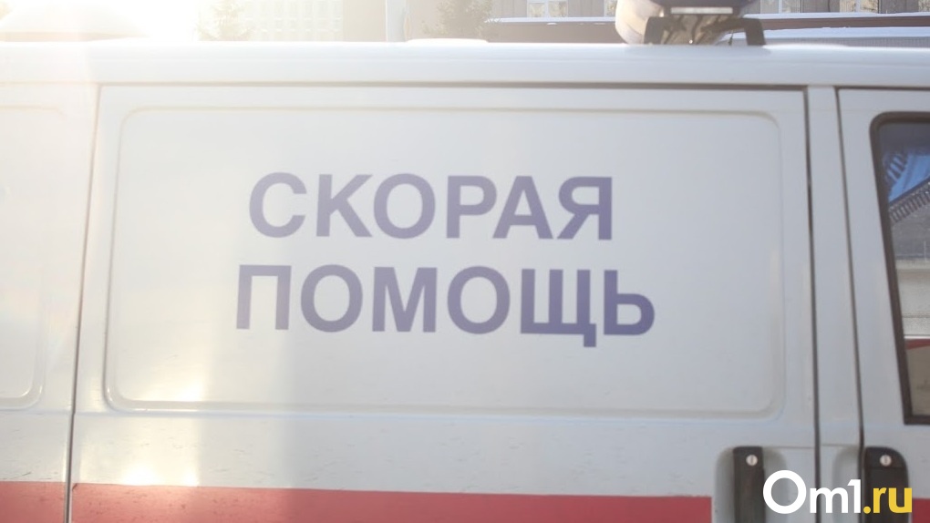 В Омскую область привезут новые скорые помощи от федерального правительства