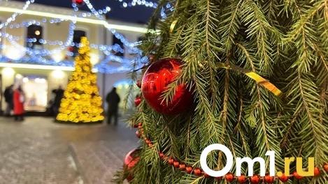 В Омске перечислили список мероприятий, которые будут отменены в праздновании Нового года
