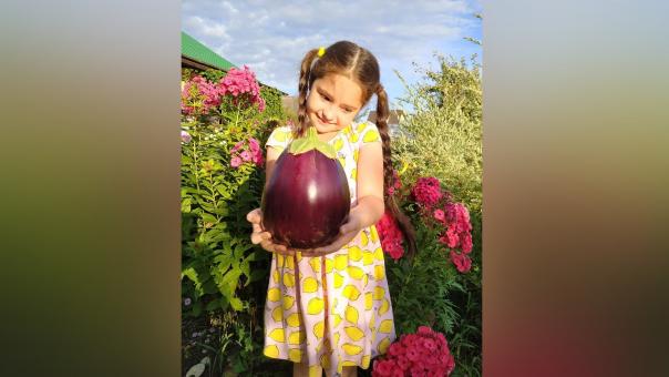 «Размером с мяч»: баклажаны-гиганты вырастила дачница из новосибирских семян