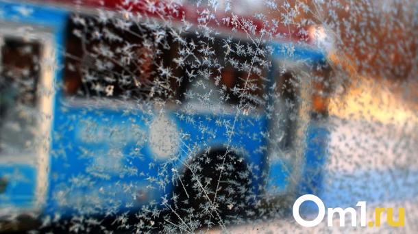 Заключительный аккорд: зима готовит мощный удар по Омску