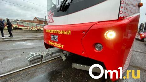Следком начал проверку из-за омича, сбежавшего из спецучилища