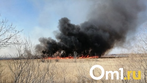 Двое омичей погибли во время крупного природного пожара