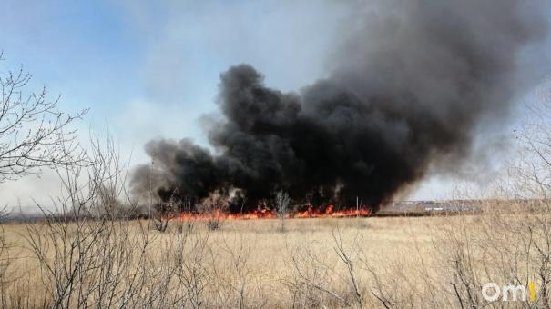 Двое омичей погибли во время крупного природного пожара