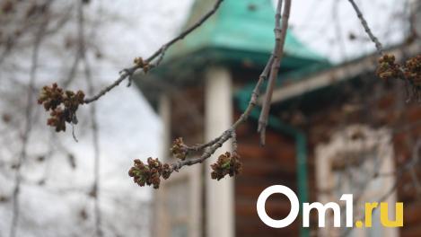 Тепло возвращается: на майских праздниках в Омске будет +25
