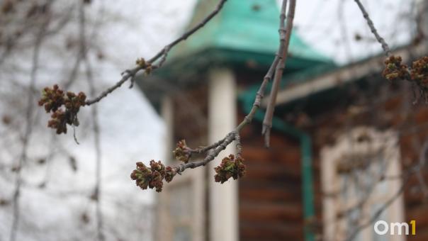 Тепло возвращается: на майских праздниках в Омске будет +25