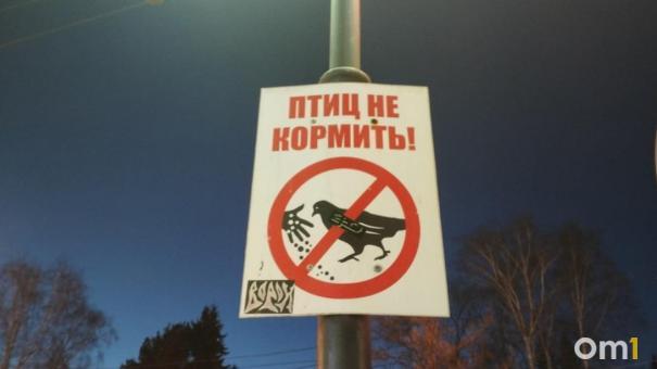 К правильному кормлению птиц призывают жителей Новосибирска
