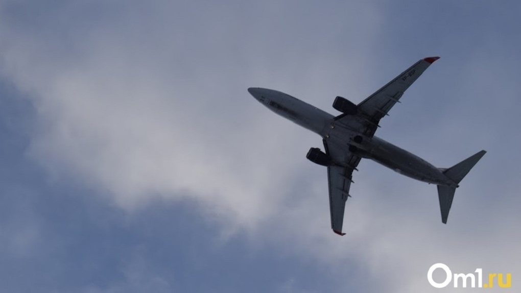 Самолёт из Новосибирска в Мирный экстренно вернулся в полосу Толмачёво