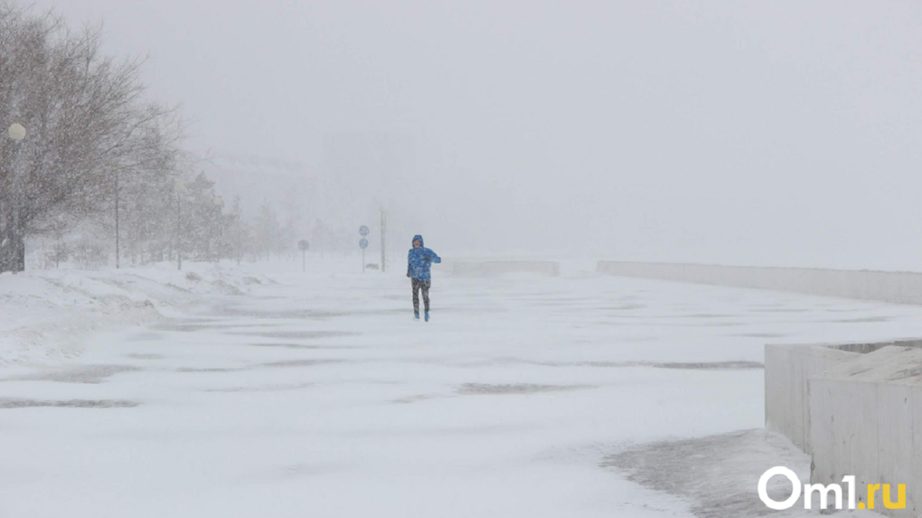 Омск в середине недели вновь накроет мощный снегопад