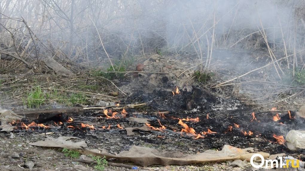 С понедельника в Омской области запрещено жечь костры, траву и складировать мусор на природе