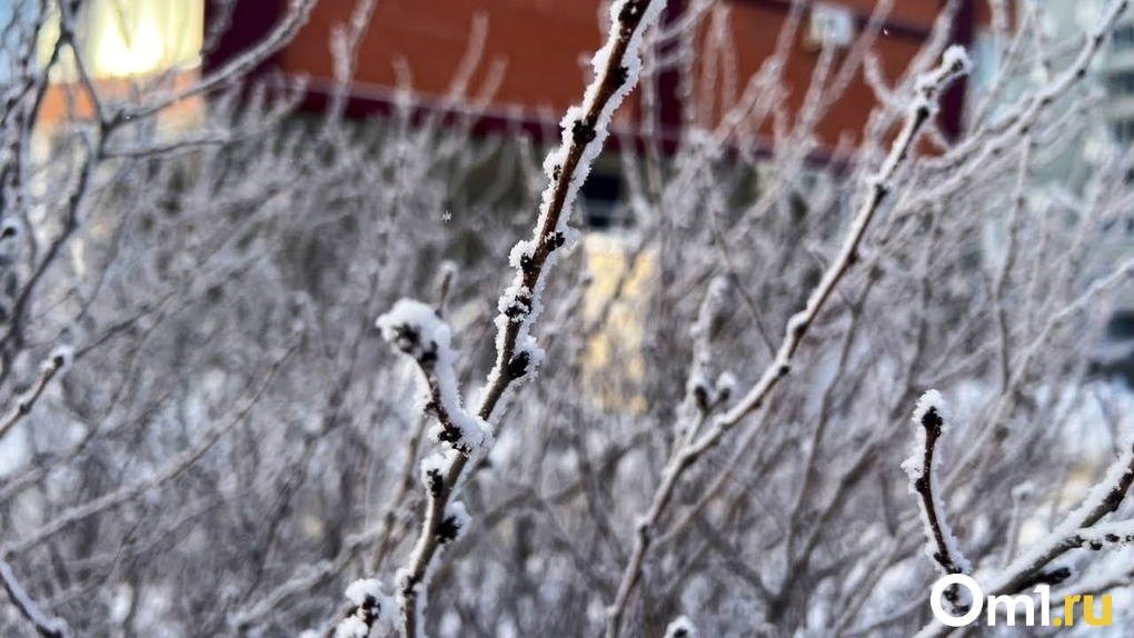 Морозы до -40 градусов ожидают новосибирцев в конце декабря