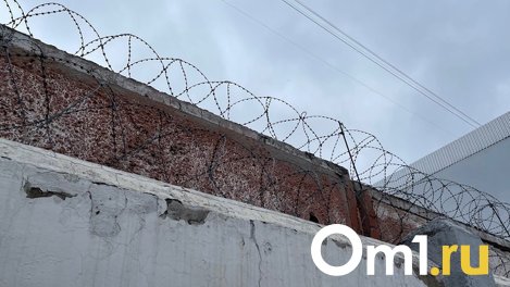 Омичке грозит до 15 лет лишения свободы за убийство знакомого, избившего её собаку