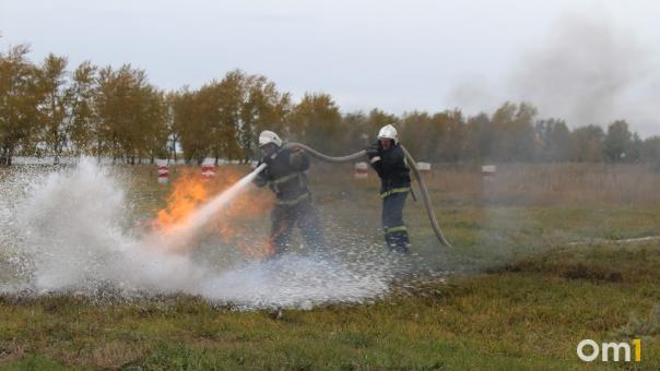 В Омской области случилось уже три лесных пожара