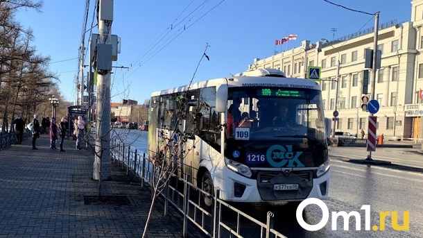 Из омских автобусов хотят убрать рекламу
