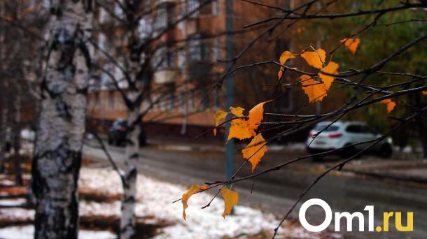 День Евфимия Осеннего: новосибирцам рассказали, что нельзя делать 28 октября