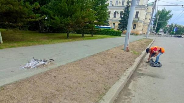 В Омске после Дня молодёжи убрали больше 30 тонн мусора