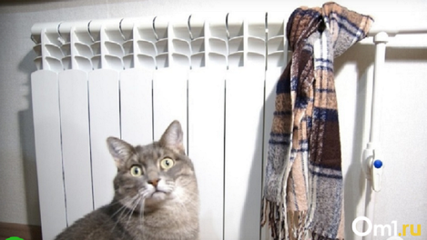 12 километров теплотрасс отремонтируют в Новосибирской области в 2022 году